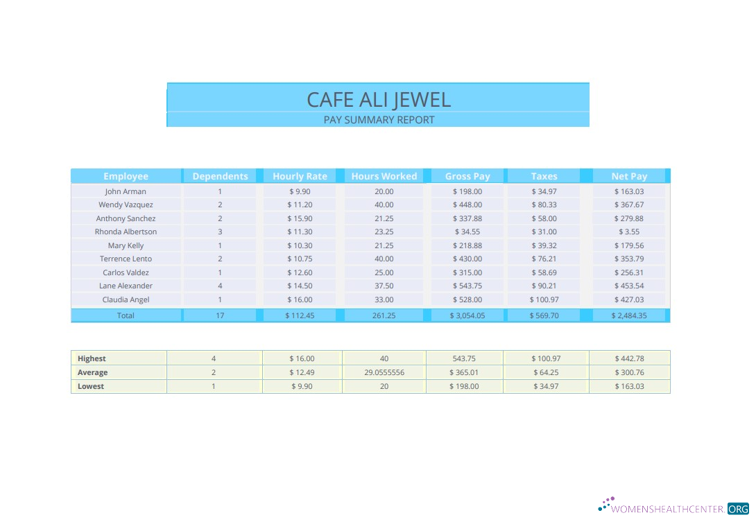 Download Pay summary report pay stub Photoshop template